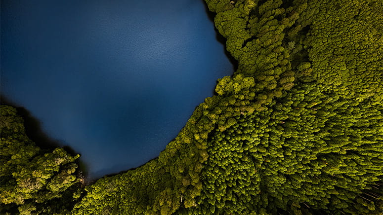 Overhead shot of a forest and lake.