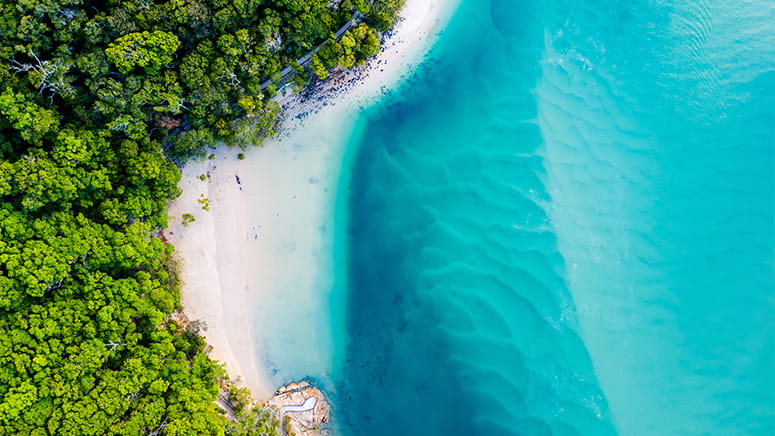 Overhead view of blue ocean, white beach and green trees