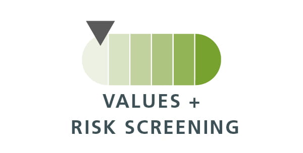 Values and risk screening gauge