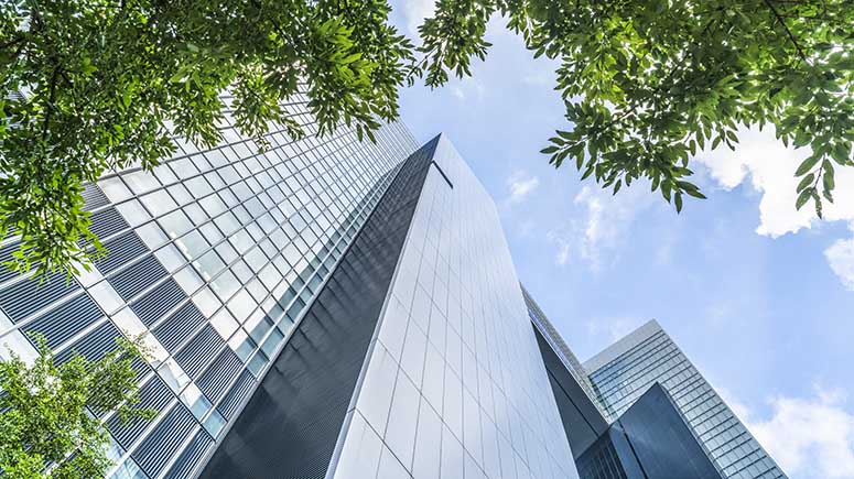 Looking upward from base of three glass faced skyscrapers with tree branches in foreground